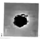 Fig. 04 - Modification of metal nanoparticles for improved analyte detection by surface enhanced Raman spectroscopy (SERS)
