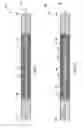Fig. 02 - Nanowire structures and devices for use in large-area electronics and methods of making the same