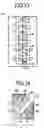 Fig. 59 - Method of fabricating a semiconductor integrated circuit that includes patterning a semiconductor substrate with a first photomask that uses metal for blocking light and patterning the same substrate with a second photomask that uses organic resin for blocking light
