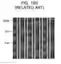 Fig. 17 - Method for fabricating saddle type fin transistor