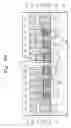 Fig. 17 - Methods of fabricating static random access memories (SRAMS) having vertical transistors