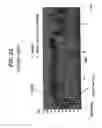 Fig. 03 - Method for fabricating flash memory device