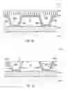 Fig. 06 - Technique for forming an isolation trench as a stress source for strain engineering