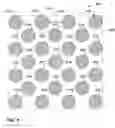 Fig. 05 - Article having metal impregnated within carbon nanotube array