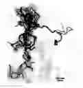 Fig. 01 - Nanowires and method for making the same