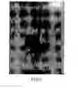 Fig. 03 - Nanowires and method for making the same