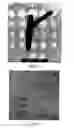 Fig. 04 - Nanowires and method for making the same