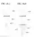 Fig. 12 - EXPANDABLE FUNCTIONS FOR CELLULAR PHONES