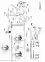 Fig. 03 - Multiprotocol wireless communication backbone