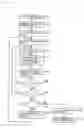 Fig. 17 - Wireless communication system, receiving apparatus, modulating method for use therein, and program therefor