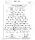 Fig. 07 - Gaming device having outcomes which replicate the laws of physics