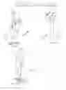 Fig. 06 - Golf swing trainer