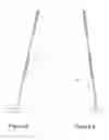 Fig. 03 - Elongated golf putter