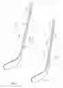 Fig. 02 - Hockey stick