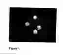 Fig. 02 - Bimodal polyethylene
