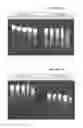 Fig. 02 - NANOPARTICLES FOR DELIVERY OF NUCLEIC ACIDS AND STABLE DOUBLE-STRANDED RNA