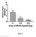Fig. 03 - Inhibition of voluntary ethanol consumption with selective melanocortin 4-receptor agonists