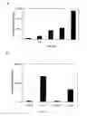 Fig. 03 - Peptides modulating the activity of the engrailed transcription factor