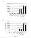 Fig. 04 - Peptides modulating the activity of the engrailed transcription factor