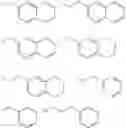 Fig. 06 - Pyrrolidine melanocortin-specific compounds