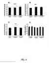 Fig. 10 - Translational control by small, non-translatable rnas