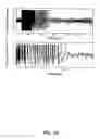 Fig. 11 - Translational control by small, non-translatable rnas