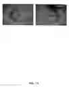 Fig. 14 - Translational control by small, non-translatable rnas