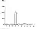 Fig. 04 - Cobalamine derivatives useful for diagnosis and treatment of abnormal cellular proliferation