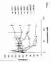 Fig. 03 - Oxazaborolidines as bacteria effectors