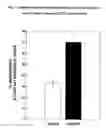 Fig. 12 - Use of lipid conjugates in the treatment of conjunctivitis