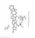 Fig. 09 - Crystalline forms of 1-benzoyl-4-[2-[4-methoxy-7-(3-methyl-1-1,2,4-triazol-1-YL)-1-[(phosphonooxy)methyl]-1-pyrrolo[2,3-]pyridin-3-YL]-1,2-dioxoethyl]-piperazine