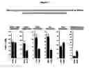 Fig. 03 - Ketone compounds and compositions for cholesterol management and related uses