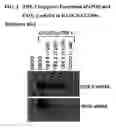 Fig. 02 - Tricyclic-bis-enone derivatives and methods of use thereof