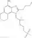 Fig. 95 - Sulfone substituted imidazo ring ethers