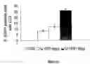 Fig. 16 - Methods and means for treating protein conformational disorders