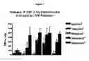 Fig. 05 - Methods for treating cutaneous lupus using aminoisoindoline compounds