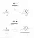 Fig. 02 - Carbonates of fenicol antibiotics