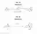 Fig. 04 - Carbonates of fenicol antibiotics