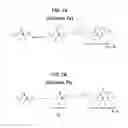 Fig. 07 - Carbonates of fenicol antibiotics