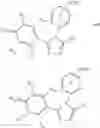 Fig. 171 - Triazole compounds that modulate HSP90 activity
