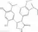Fig. 41 - Triazole compounds that modulate HSP90 activity