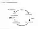 Fig. 02 - Peptide deformylase inhibitors