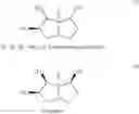 Fig. 06 - Immunomodulatory compositions