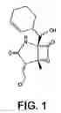 Fig. 02 - Salinosporamides and methods for use thereof