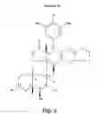 Fig. 04 - Salinosporamides and methods for use thereof