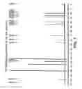 Fig. 08 - Salinosporamides and methods for use thereof