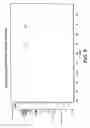 Fig. 10 - Salinosporamides and methods for use thereof