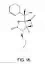 Fig. 17 - Salinosporamides and methods for use thereof