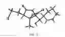 Fig. 18 - Salinosporamides and methods for use thereof