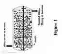 Fig. 02 - Solution masterbatch process using finely ground fillers for low hysteresis rubber